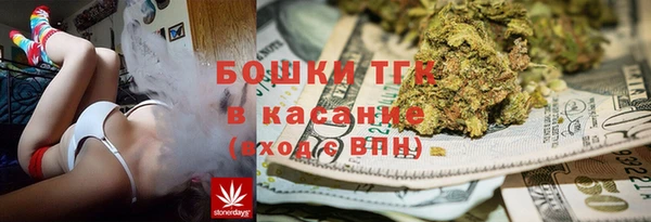 стафф Губаха