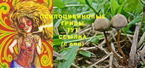 кокаин колумбия Пересвет