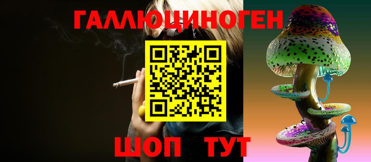 Коммунар  Галлюциногенные грибы Psilocybine cubensis  Вход с VPN 