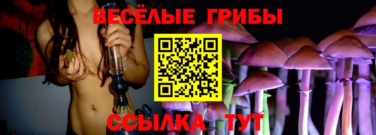 Псилоцибиновые грибы GOLDEN TEACHER  Коммунар  Псилоцибиновые грибы мухоморы 